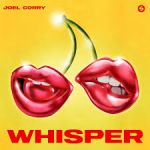 JOEL CORRY